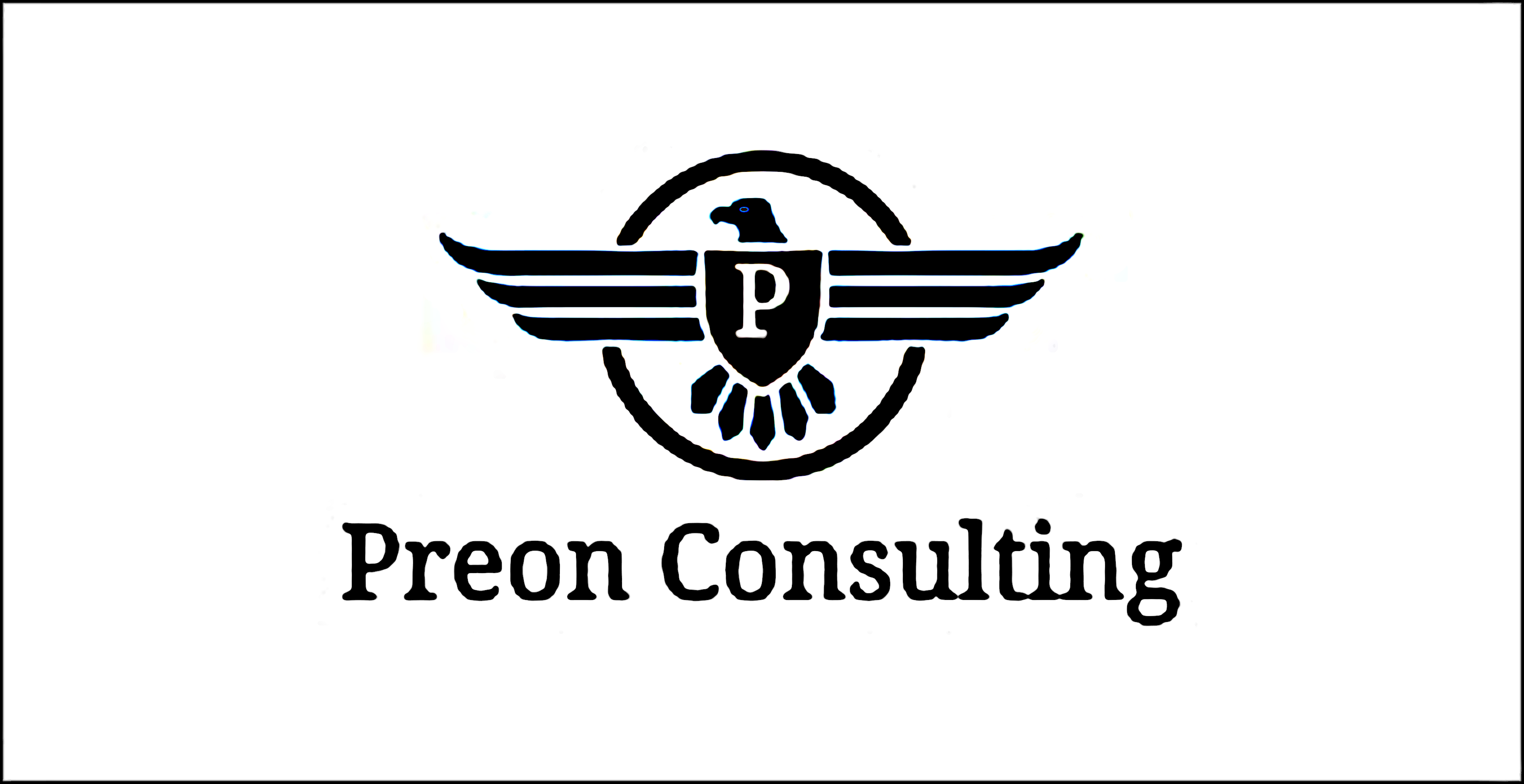 Welcome to Preon Consulting